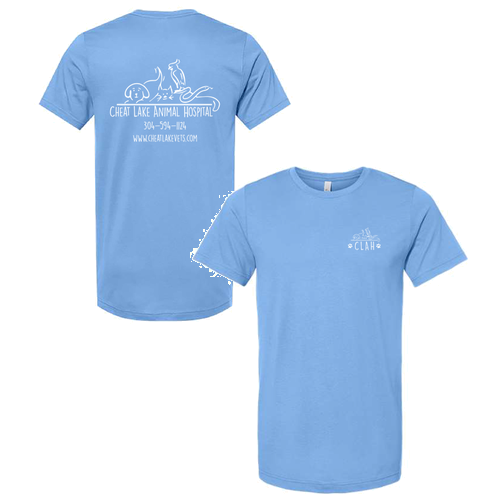 Bella Canvas Unisex Jersey T-Shirt -- Carolina Blue