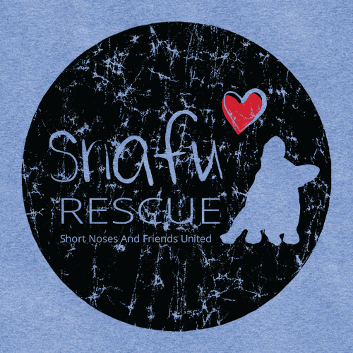 District Made Mens Perfect Tri Crew Tee -- Maritime Frost