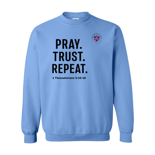 Gildan Heavy Blend Crew Neck Sweatshirt -- Carolina Blue
