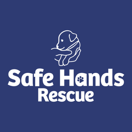 District Women's Very Important Tee  V-Neck -- Deep Royal