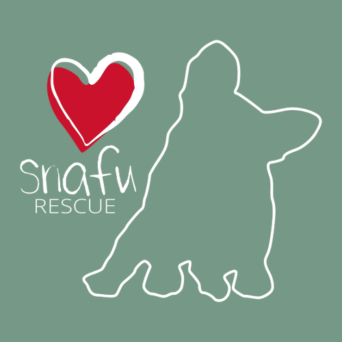 Comfort Colors Ringspun Long Sleeve Tee -- Light Green