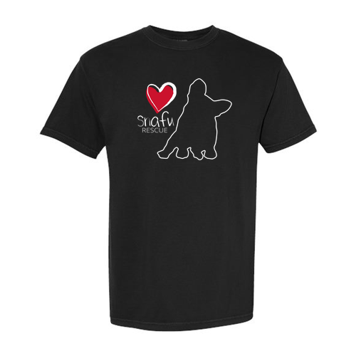 Comfort Colors Unisex Garment-Dyed Heavyweight T-Shirt -- Black