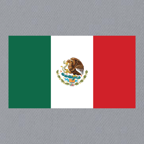MEXICO Performance Tee -- ADULT Silver