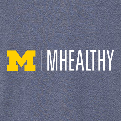 Ladies 100% Cotton Tee -- Heather Navy