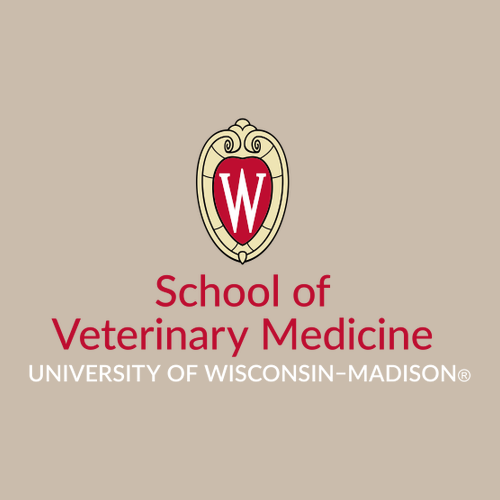 Gildan Heavy Blend Crew Neck Sweatshirt -- Sand