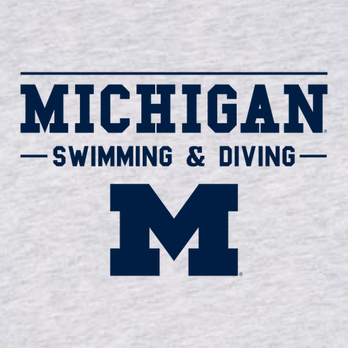 Ladies District Womens Re-Tee V-Neck -- Light Heather Grey