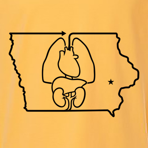 Comfort Colors Unisex Garment-Dyed Heavyweight T-Shirt -- Citrus