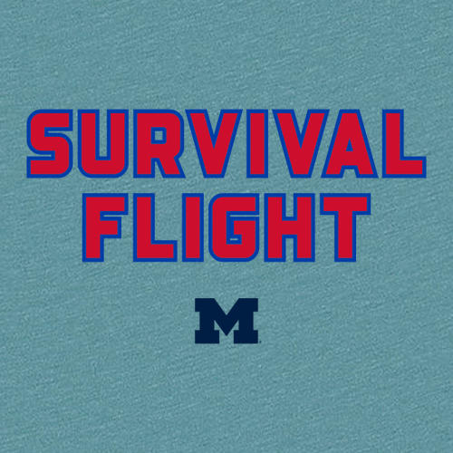 Mens/Unisex Bella Canvas Soft Sponge Fleece Hoodie -- Heather Blue Lagoon