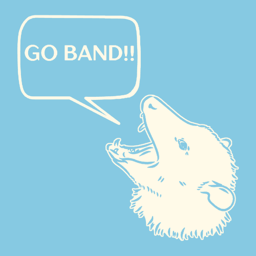 Gildan SoftStyle T-Shirt -- Sky