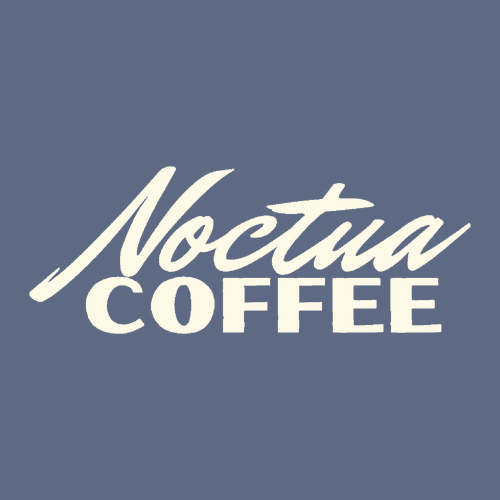 Comfort Colors Heavyweight Adult T-Shirt -- Denim