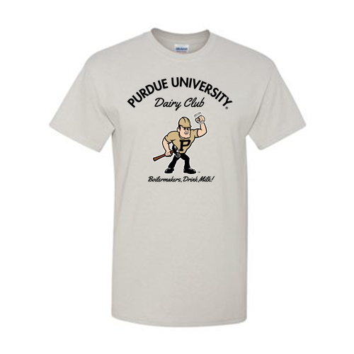 Gildan Ice Grey T-Shirt