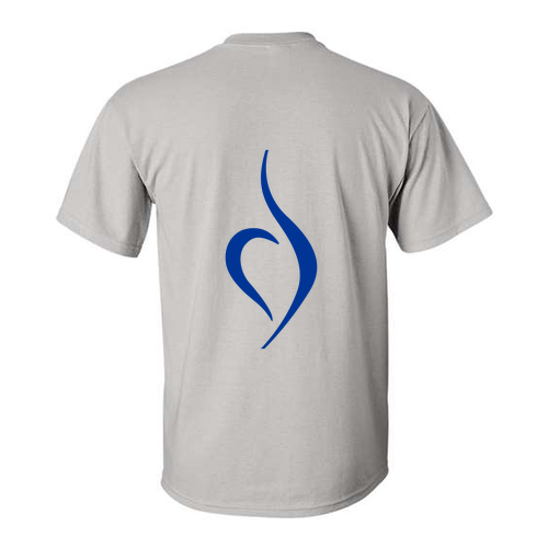 Gildan Ultra Cotton T-Shirt -- Ice Grey