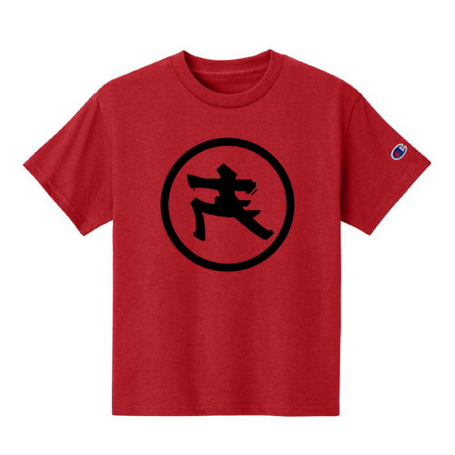 Champion Youth Jersey T-Shirt -- Red