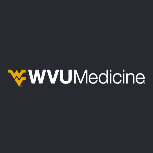Brooks Brothers Mesh Pique Performance Polo -- Navy Blazer