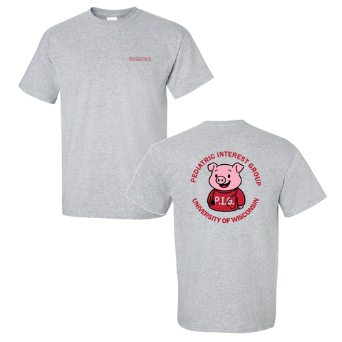 Gildan Ultra Cotton Basic T-Shirt -- Sport Grey