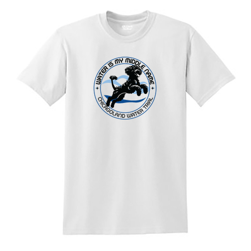 Gildan DryBlend 50/50 T-Shirt -- White