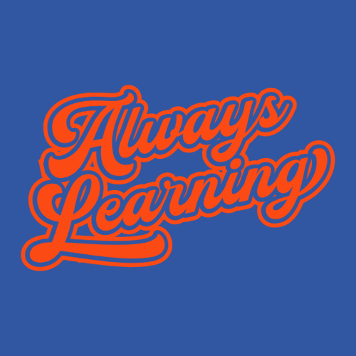 Gildan Heavy Cotton Basic T-Shirt -- Royal