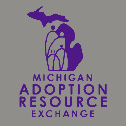 Comfort Colors Lightweight Adult Ringspun Crewneck Sweatshirt -- Grey