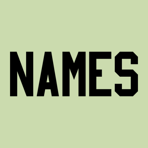 Gildan Ultra Cotton T-Shirt -- Pistachio