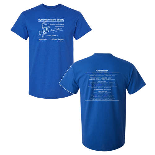 Gildan Ultra Cotton Basic T-Shirt -- Antique Royal