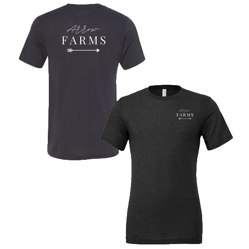 Bella Canvas Triblend Short Sleeve T-Shirt -- Solid Dark Grey Triblend