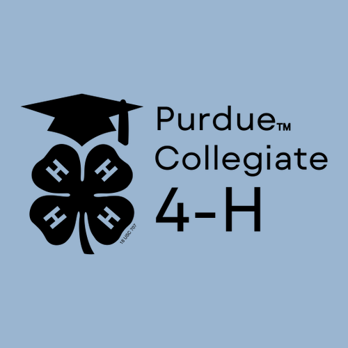 Gildan Heavy Blend Crew Neck Sweatshirt -- Light Blue