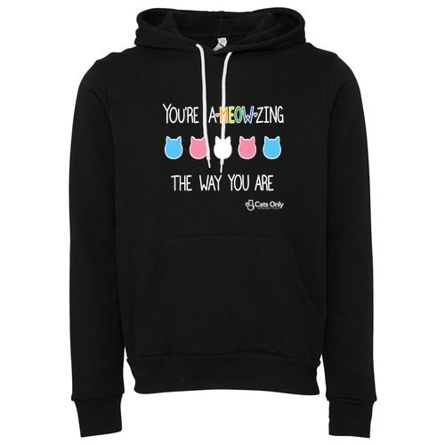 BELLA + CANVAS Sponge Fleece Hoodie -- Black