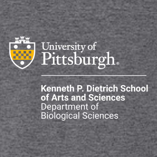 Biological Sciences Gildan Heavy Blend Crew Neck Sweatshirt -- Dark Heather