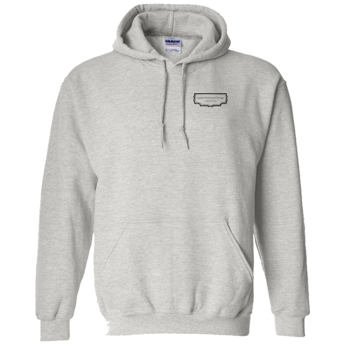 Law Books Hooded Sweatshirt -- Ash