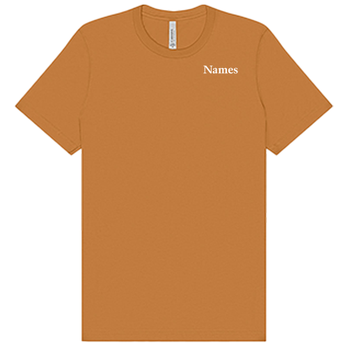 TX Bella Canvas Unisex Jersey T-Shirt -- Toast