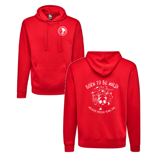 J America Unisex BTB Fleece Hooded Sweatshirt -- Red