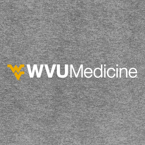 District Made Mens Perfect Tri Crew Tee -- Grey Frost