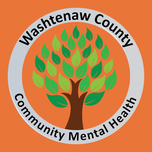 Gildan Ultra Cotton Longsleeve Basic T-Shirt -- Orange