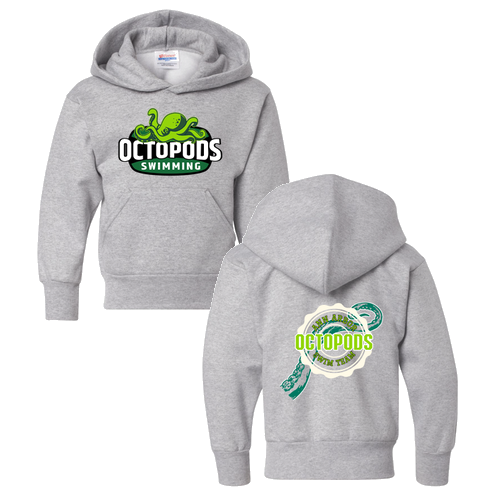 Youth Hanes Hooded Sweatshirt -- Light Steel