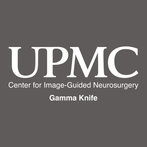 Gildan Softstyle Longsleeve T Shirt -- Charcoal