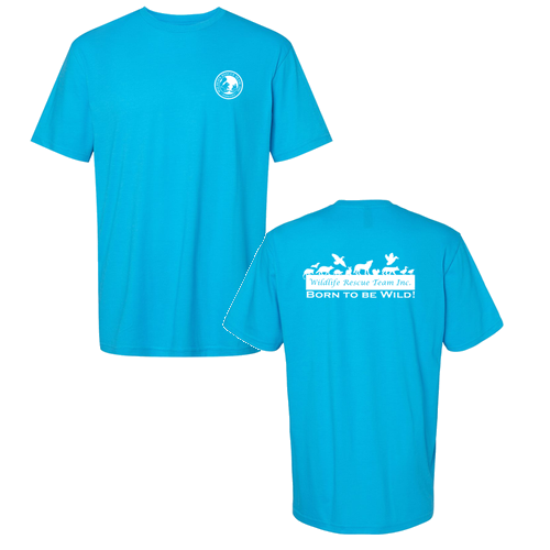 Gildan Softstyle CVC Tee -- Caribbean Mist