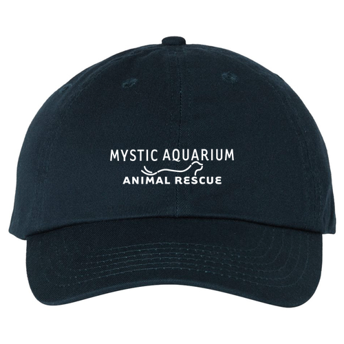 Mystic Aquarium -- Navy Hats