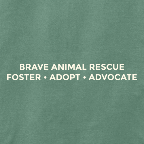 Embroidered Brave Long Sleeve Tee -- Light Green