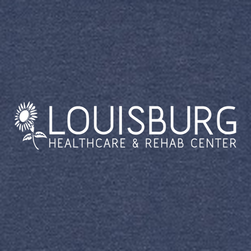 Gildan Softstyle CVC T-Shirt -- Navy Mist