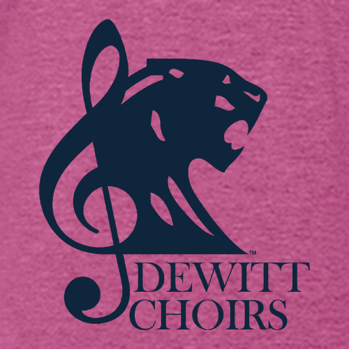 Gildan SoftStyle T-Shirt -- Heather Berry