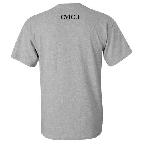 Gildan Heavy Cotton Basic T-Shirt -- Sport Grey