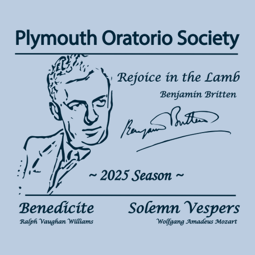 Gildan Ultra Cotton Basic T-Shirt -- Sky