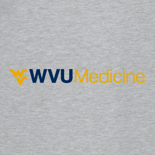 Embroidered Gildan Heavy Cotton Longsleeve Basic T-Shirt -- Sport Grey