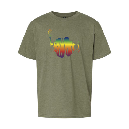 Gildan Youth Softstyle® CVC Tee -- Cactus