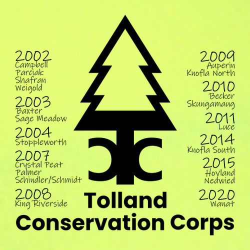 Long Sleeve Competitor -- Neon Yellow