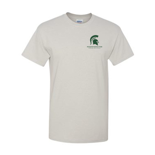 Gildan Heavy Cotton Basic T-Shirt -- Ice Grey