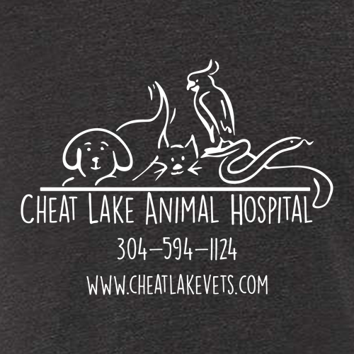 Bella+Canvas Unisex Heather Cvc Long Sleeve Tee- Heathers -- Dark Grey Heather