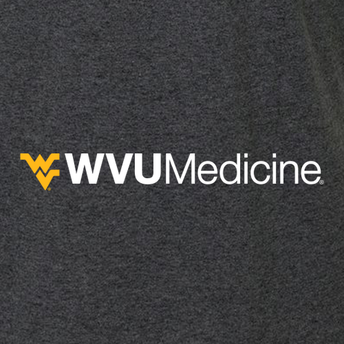 Gildan SoftStyle Fitted T-Shirt -- Dark Heather