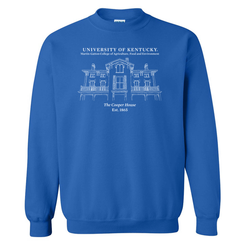 Gildan Heavy Blend Crew Neck Sweatshirt -- Royal