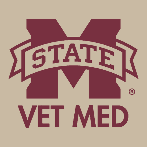 Gildan Heavy Cotton Basic T-Shirt -- Sand